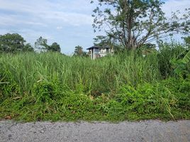  Land for sale in Surasak, Si Racha, Surasak