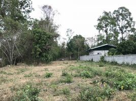  Land for sale in Sam Ngao, Tak, Sam Ngao, Sam Ngao