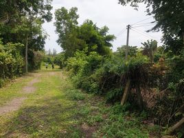  Land for sale in Chak Phong, Klaeng, Chak Phong