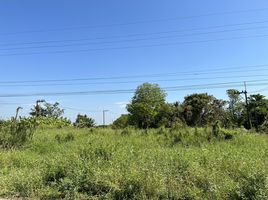  Land for sale in Bang Nam Priao, Chachoengsao, Don Chimphli, Bang Nam Priao