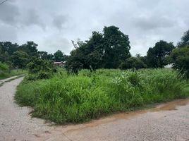  Grundstück zu verkaufen in Mueang Chaiyaphum, Chaiyaphum, Ban Lao, Mueang Chaiyaphum, Chaiyaphum