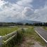  Land for sale in Nong Khwai, Chiang Mai, Nong Khwai, Hang Dong