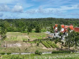  Grundstück zu verkaufen in Thalang, Phuket, Mai Khao