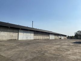3 Bedroom Warehouse for sale in Cho Ho, Mueang Nakhon Ratchasima, Cho Ho