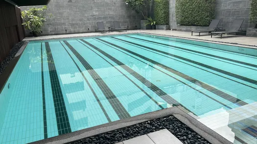 Photos 1 of the Communal Pool at New House Condo