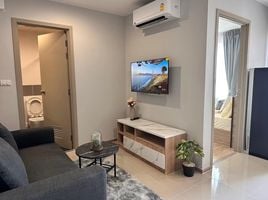 1 Schlafzimmer Wohnung zu vermieten im Rich Park at Chaophraya, Sai Ma