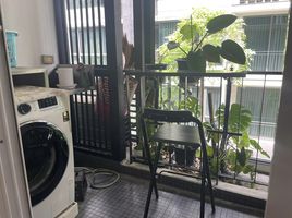 1 Schlafzimmer Appartement zu vermieten im Tree Condo Ekamai, Phra Khanong, Khlong Toei, Bangkok, Thailand