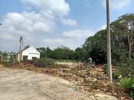  Land for sale in San Klang, San Pa Tong, San Klang