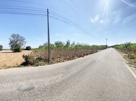  Land for sale in Nong Hiang, Phanat Nikhom, Nong Hiang