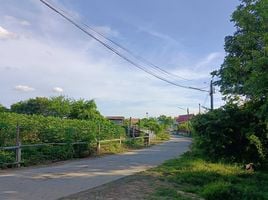  Land for sale in Lop Buri, Nong Mueang, Ban Mi, Lop Buri