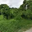  Grundstück zu verkaufen in Mueang Phetchaburi, Phetchaburi, Ban Kum, Mueang Phetchaburi, Phetchaburi