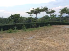  Land for sale in Kanchanaburi, Si Mongkhon, Sai Yok, Kanchanaburi