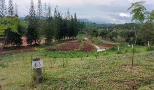Thung Samo, Phetchabun တွင် N/A မြေ ရောင်းရန်အတွက်