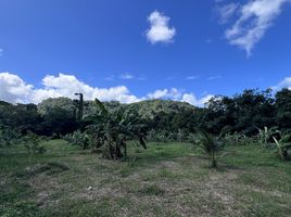  Grundstück zu verkaufen in Thalang, Phuket, Pa Khlok, Thalang