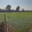  Land for sale in Mueang Chiang Rai Chiang Rai, Mae Kon, Mueang Chiang Rai, Chiang Rai
