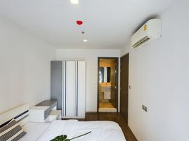 1 Schlafzimmer Wohnung zu vermieten im Life Ladprao Valley, Chomphon