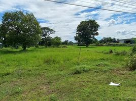  Grundstück zu verkaufen in Non Sung, Nakhon Ratchasima, Don Wai, Non Sung
