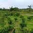  Land for sale in Presidente Figueiredo, Amazonas, Presidente Figueiredo