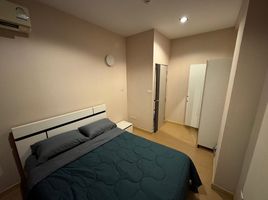 1 Schlafzimmer Wohnung zu vermieten im One Plus Jed Yod Condo, Chang Phueak