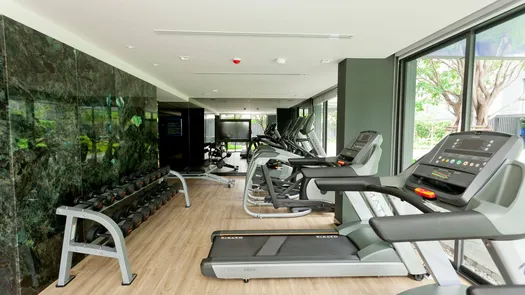 รูปถ่าย 1 of the Communal Gym at เดอะ เดค ป่าตอง