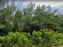  Land for sale in Thalang, Phuket, Si Sunthon, Thalang