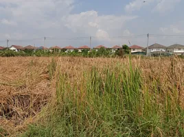  Land for sale in Suvarnabhumi Airport, Nong Prue, Lat Krabang