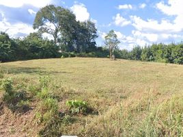  Land for sale in Phayao, Na Prang, Pong, Phayao