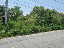  Land for sale in Don Khoi, Kamphaeng Saen, Don Khoi