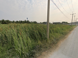  Land for sale in Thanon Khat, Mueang Nakhon Pathom, Thanon Khat