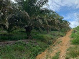  Land for sale in Lumut, Manjung, Lumut