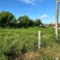  Land for sale in Phuket Town, Phuket, Rawai, Phuket Town