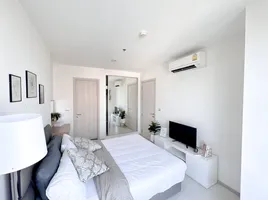 1 Schlafzimmer Wohnung zu verkaufen im Rhythm Sukhumvit 42, Phra Khanong