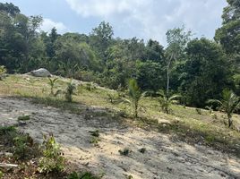  Land for sale in Karon, Phuket Town, Karon