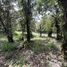  Land for sale in Dota San Jose, Dota, San Jose