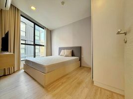 3 Schlafzimmer Appartement zu vermieten im Liv At 49, Khlong Tan Nuea