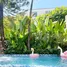 3 Schlafzimmer Haus zu vermieten in Hai Chau I, Da Nang, Hai Chau I, Hai Chau