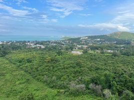  Grundstück zu verkaufen in Koh Samui, Surat Thani, Bo Phut, Koh Samui, Surat Thani