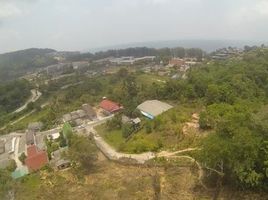  Land for sale in Thalang, Phuket, Sakhu, Thalang