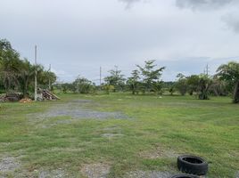  Grundstück zu verkaufen in Mueang Krabi, Krabi, Krabi Noi