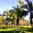  Land for sale in Limon, Siquirres, Limon