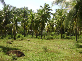  Grundstück zu verkaufen in Leyte, Eastern Visayas, Mahaplag