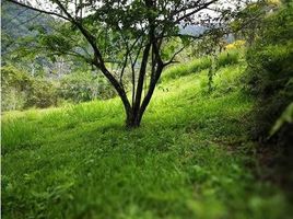  Grundstück zu verkaufen in Osa, Puntarenas, Osa