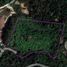  Land for sale in Thalang, Phuket, Choeng Thale, Thalang