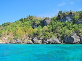  Grundstück zu verkaufen in Occidental Mindoro, Mimaropa, San Jose, Occidental Mindoro, Mimaropa