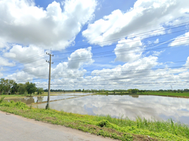  Grundstück zu verkaufen in Banphot Phisai, Nakhon Sawan, Ban Daen, Banphot Phisai