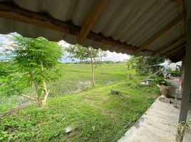  Land for sale in San Kamphaeng, Chiang Mai, San Kamphaeng, San Kamphaeng