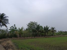  Grundstück zu verkaufen in Tha Ruea, Phra Nakhon Si Ayutthaya, Nong Khanak, Tha Ruea