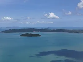  Grundstück zu verkaufen in Takua Thung, Phangnga, Lo Yung, Takua Thung