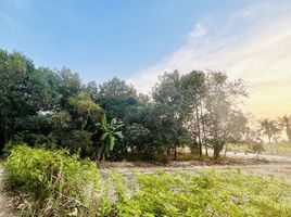  Land for sale in Mueang, Mueang Chon Buri, Mueang