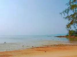  Grundstück zu verkaufen in Koh Samui, Surat Thani, Maenam